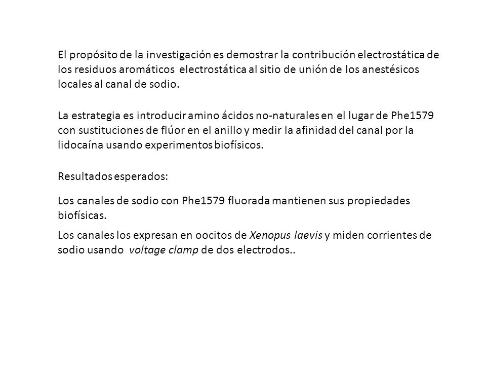 El propósito de la investigación es demostrar la contribución electrostática de los residuos aromáticos electrostática al sitio de unión de los anestésicos locales al canal de sodio.