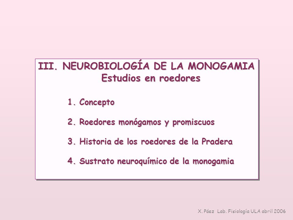 III. NEUROBIOLOGÍA DE LA MONOGAMIA Estudios en roedores 1. Concepto