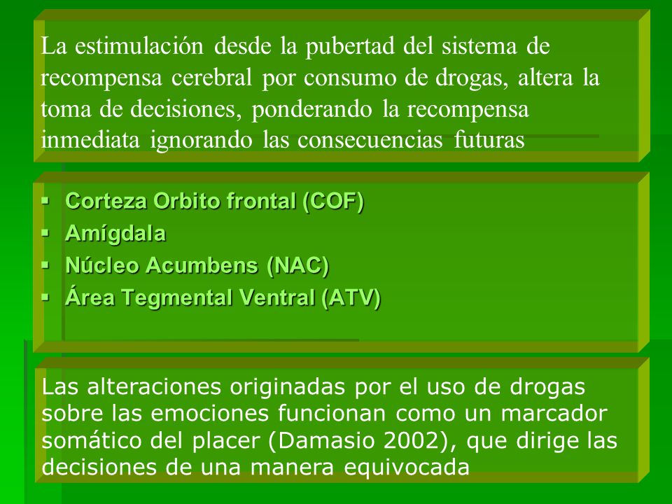 La estimulación desde la pubertad del sistema de recompensa cerebral por consumo de drogas, altera la toma de decisiones, ponderando la recompensa inmediata ignorando las consecuencias futuras