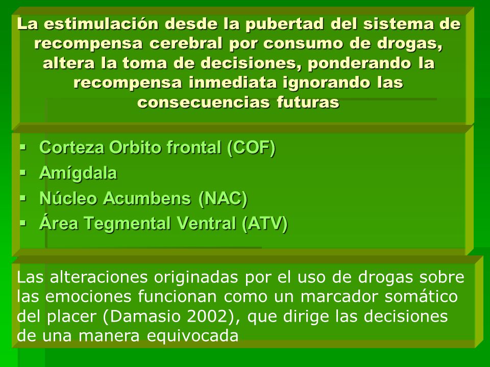 Corteza Orbito frontal (COF) Amígdala Núcleo Acumbens (NAC)