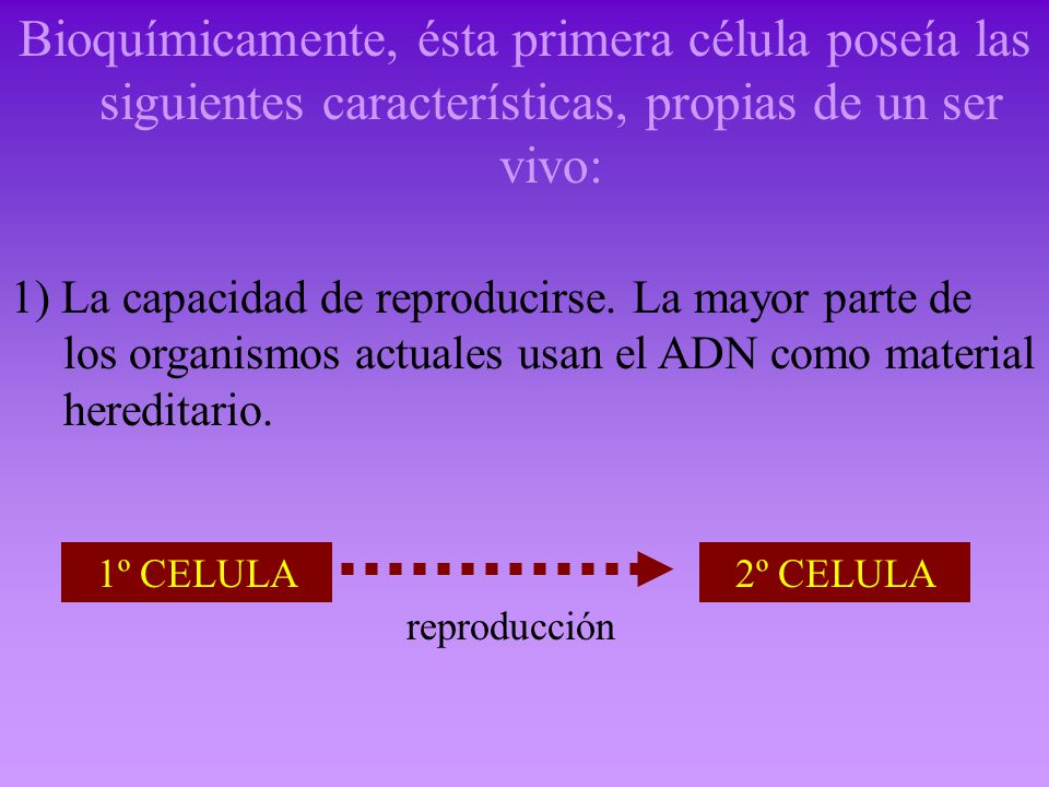 Bioquímicamente, ésta primera célula poseía las siguientes características, propias de un ser vivo:
