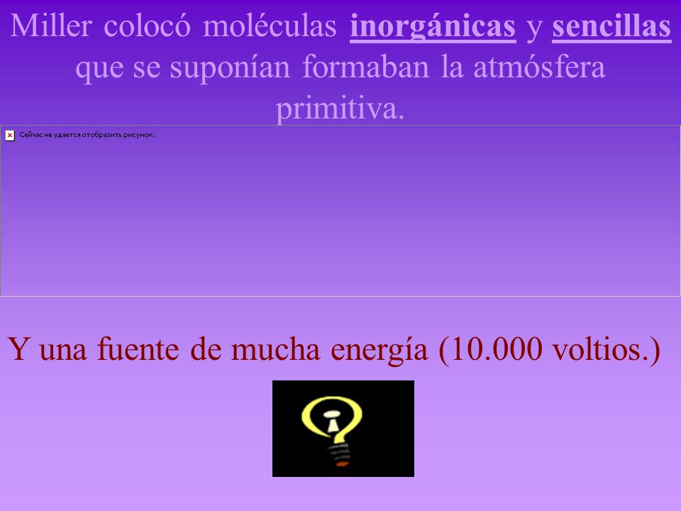 Miller colocó moléculas inorgánicas y sencillas que se suponían formaban la atmósfera primitiva.