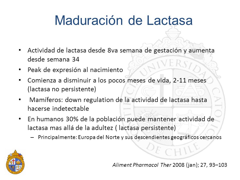 Maduración de Lactasa Actividad de lactasa desde 8va semana de gestación y aumenta desde semana 34.