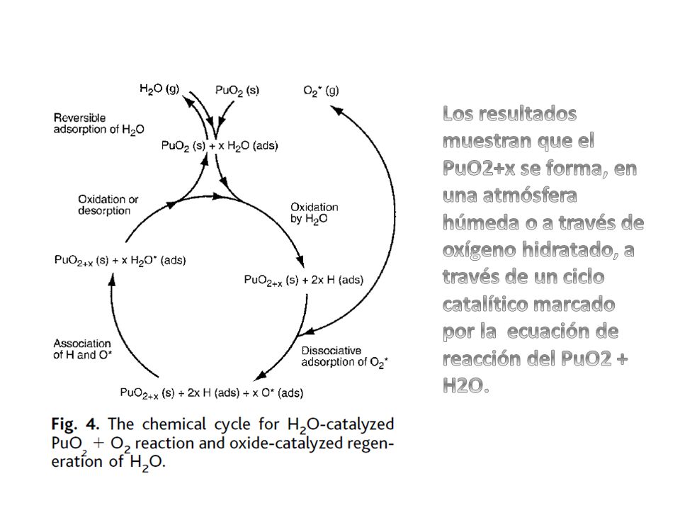 Los resultados muestran que el PuO2+x se forma, en una atmósfera húmeda o a través de oxígeno hidratado, a través de un ciclo catalítico marcado por la ecuación de reacción del PuO2 + H2O.