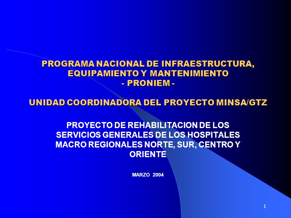 PROGRAMA NACIONAL DE INFRAESTRUCTURA, EQUIPAMIENTO Y MANTENIMIENTO - PRONIEM - UNIDAD COORDINADORA DEL PROYECTO MINSA/GTZ