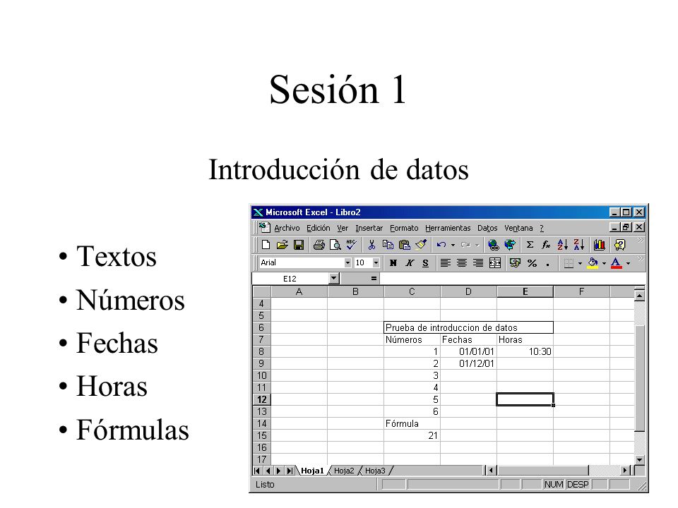Sesión 1 Introducción de datos Textos Números Fechas Horas Fórmulas