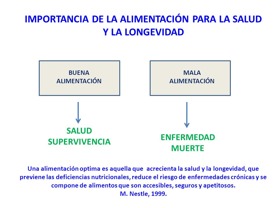 IMPORTANCIA DE LA ALIMENTACIÓN PARA LA SALUD Y LA LONGEVIDAD