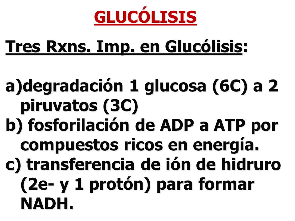 GLUCÓLISIS Tres Rxns. Imp. en Glucólisis: degradación 1 glucosa (6C) a 2 piruvatos (3C)