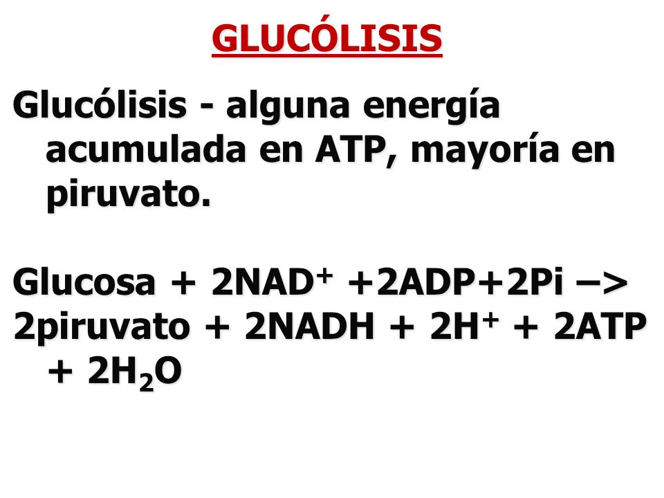 GLUCÓLISIS Glucólisis - alguna energía acumulada en ATP, mayoría en piruvato. Glucosa + 2NAD+ +2ADP+2Pi –>