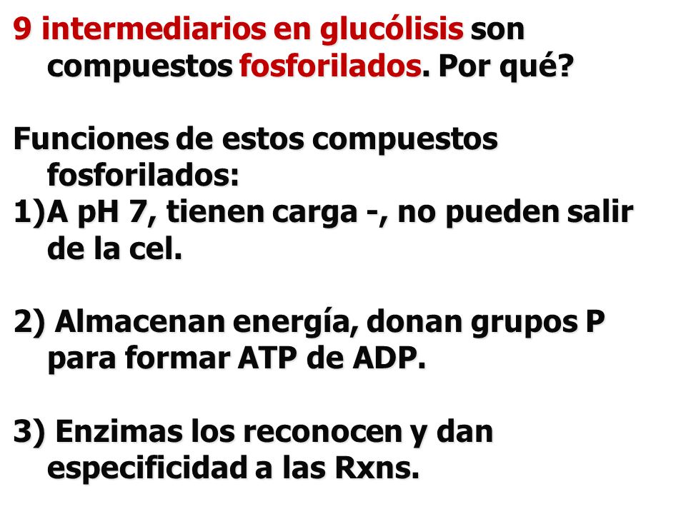 9 intermediarios en glucólisis son compuestos fosforilados. Por qué