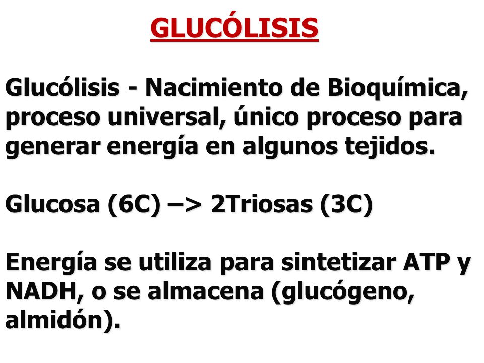 GLUCÓLISIS Glucólisis - Nacimiento de Bioquímica, proceso universal, único proceso para generar energía en algunos tejidos.