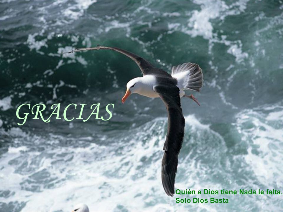 GRACIAS Quién a Dios tiene Nada le falta… Solo Dios Basta