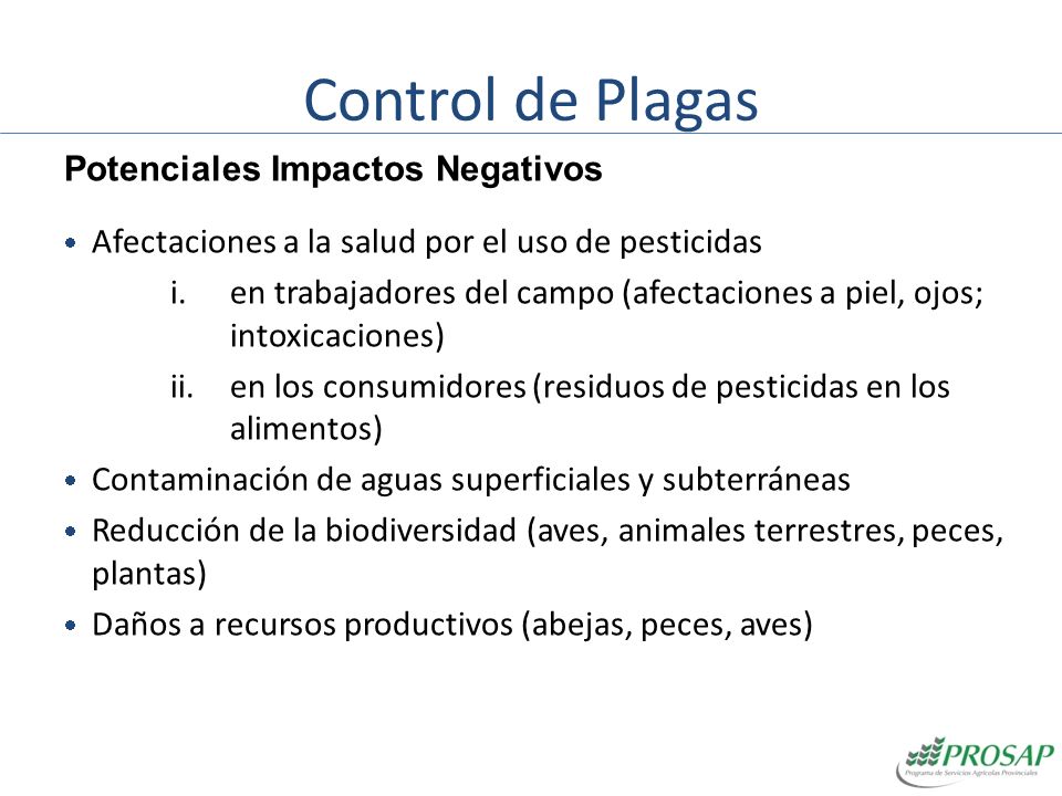 Control de Plagas Potenciales Impactos Negativos