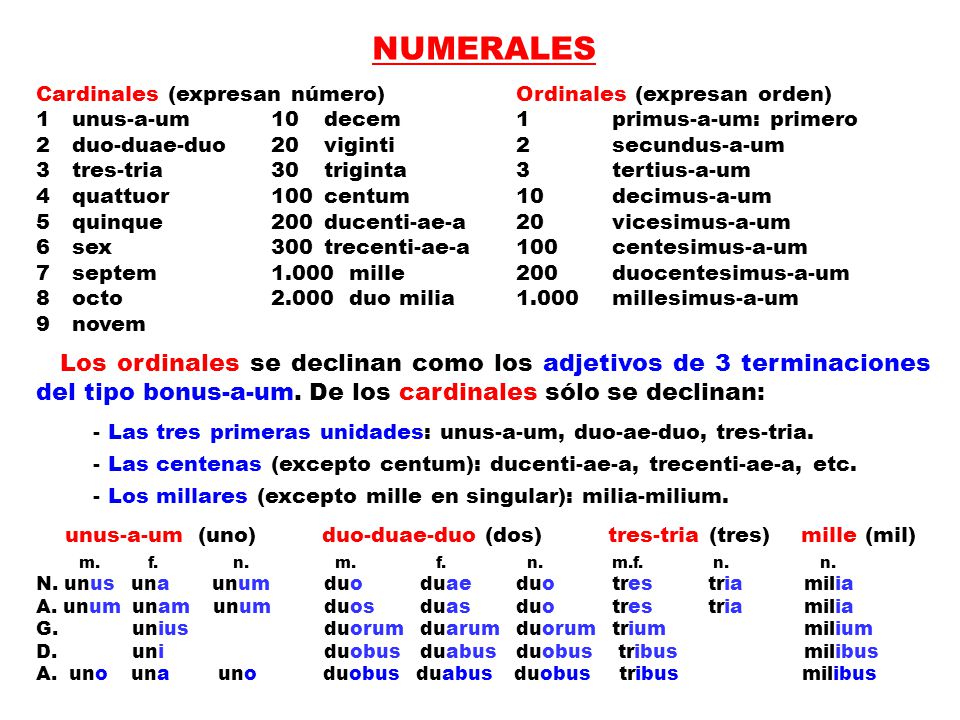 NUMERALES Cardinales (expresan número) Ordinales (expresan orden) 1 unus-a-um 10 decem 1 primus-a-um: primero.