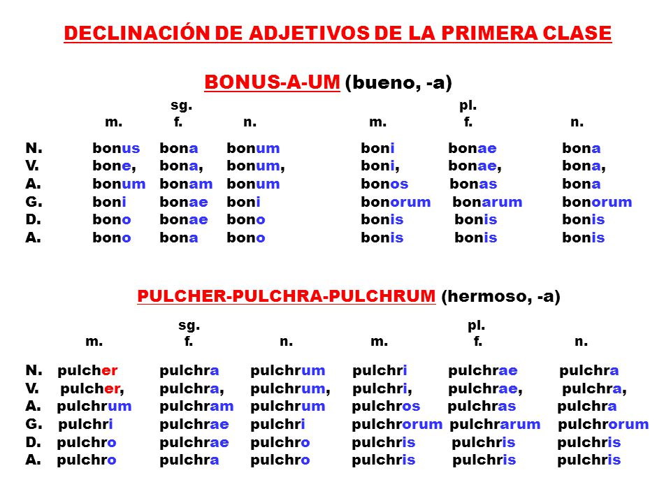 DECLINACIÓN DE ADJETIVOS DE LA PRIMERA CLASE BONUS-A-UM (bueno, -a)