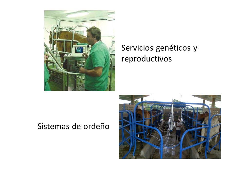 Sistemas de ordeño Servicios genéticos y reproductivos