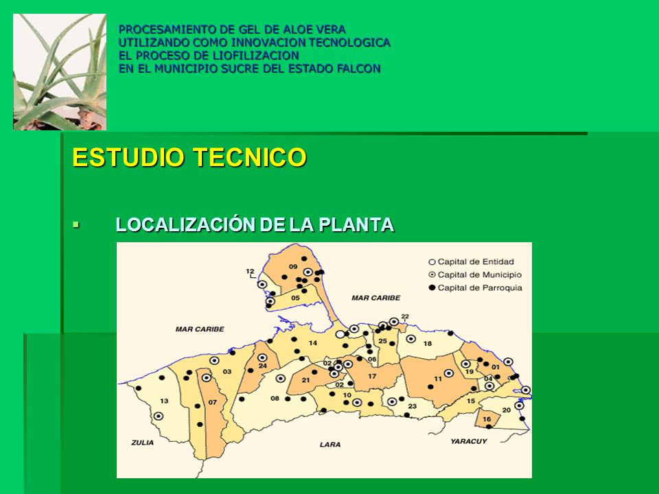 ESTUDIO TECNICO LOCALIZACIÓN DE LA PLANTA