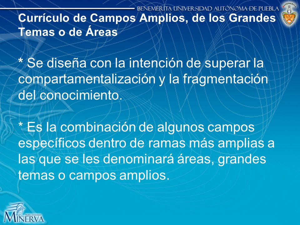 Currículo de Campos Amplios, de los Grandes Temas o de Áreas