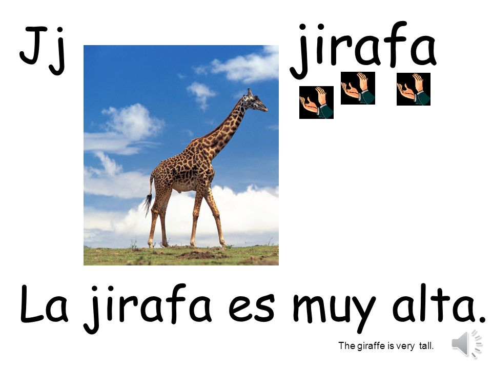 jirafa Jj La jirafa es muy alta. The giraffe is very tall.