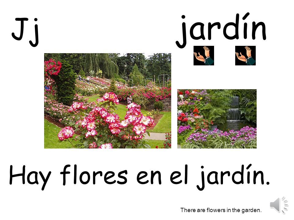 jardín Jj Hay flores en el jardín. There are flowers in the garden.