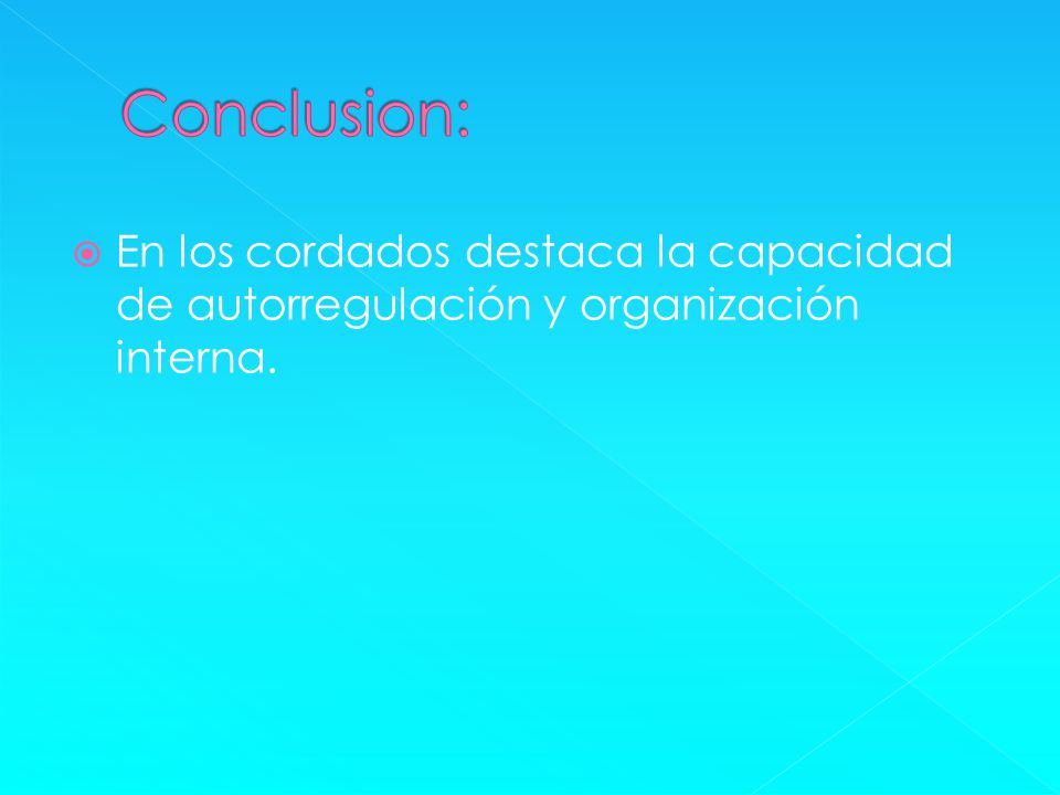 Conclusion: En los cordados destaca la capacidad de autorregulación y organización interna.