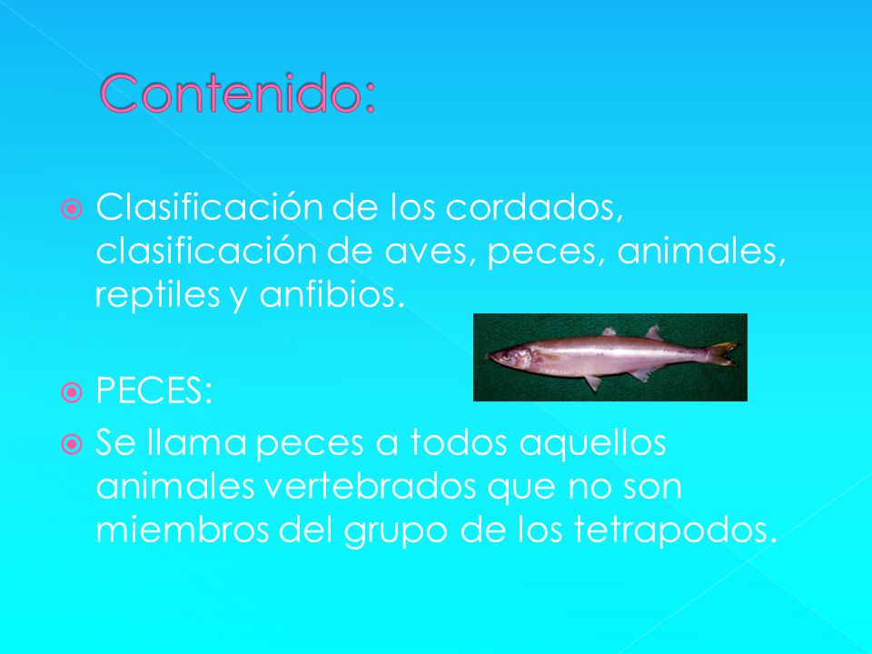 Contenido: Clasificación de los cordados, clasificación de aves, peces, animales, reptiles y anfibios.