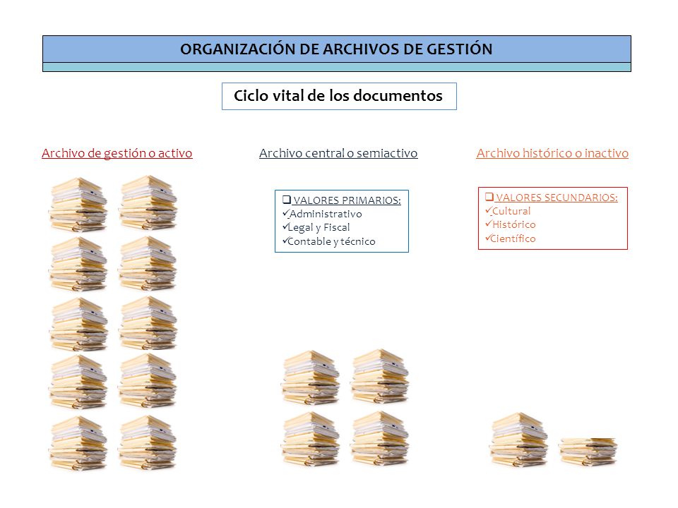 ORGANIZACIÓN DE ARCHIVOS DE GESTIÓN Ciclo vital de los documentos