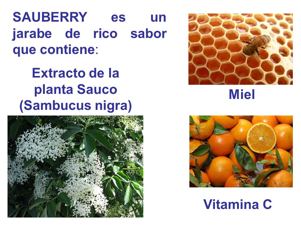SAUBERRY es un jarabe de rico sabor que contiene: