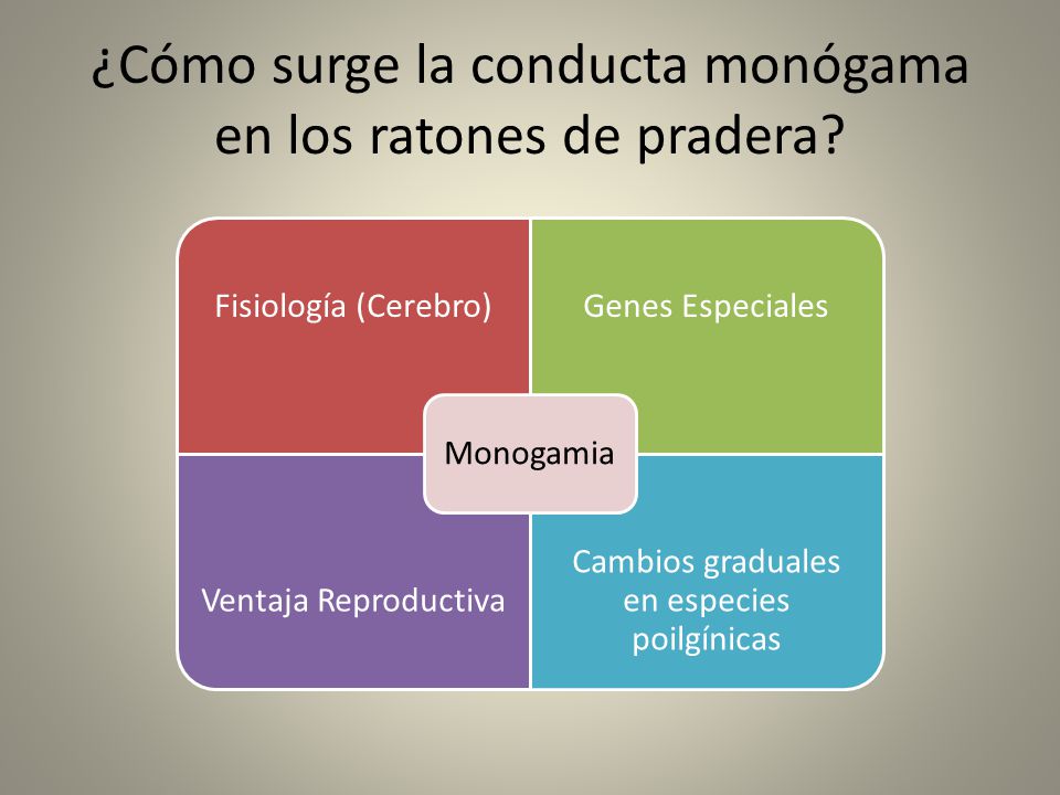 ¿Cómo surge la conducta monógama en los ratones de pradera