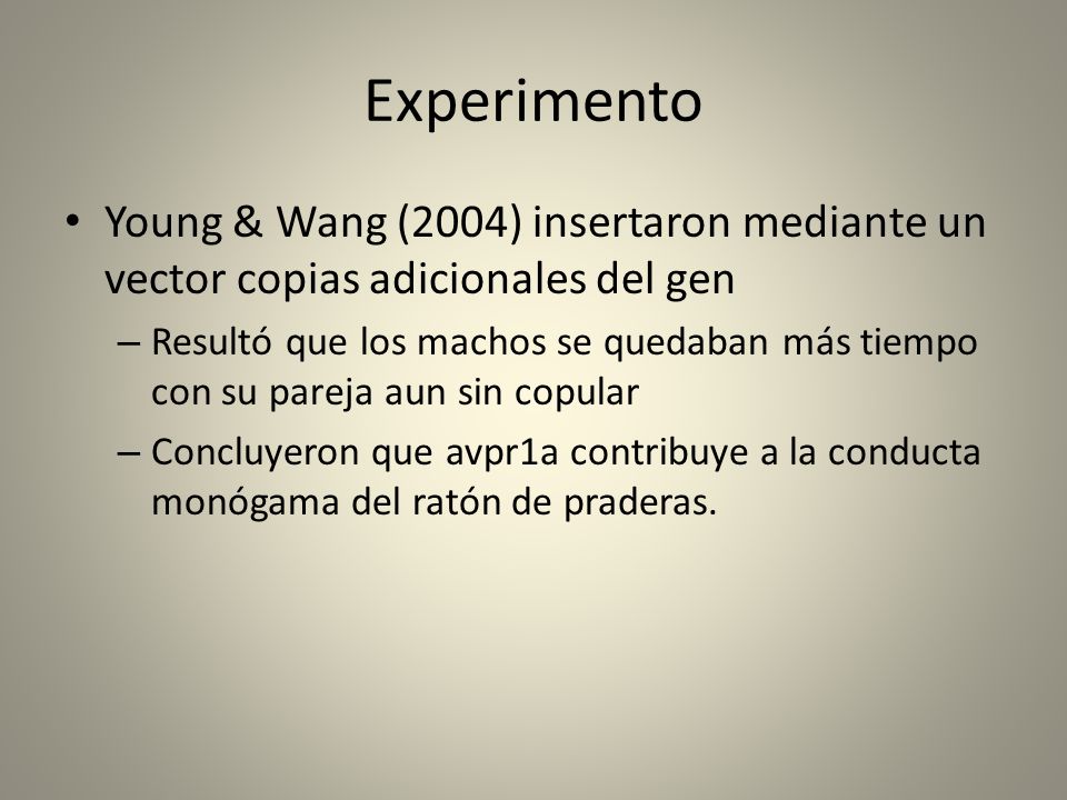 Experimento Young & Wang (2004) insertaron mediante un vector copias adicionales del gen.