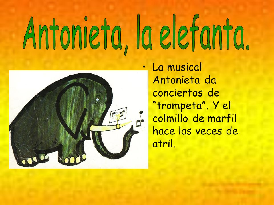 Antonieta, la elefanta. La musical Antonieta da conciertos de trompeta .