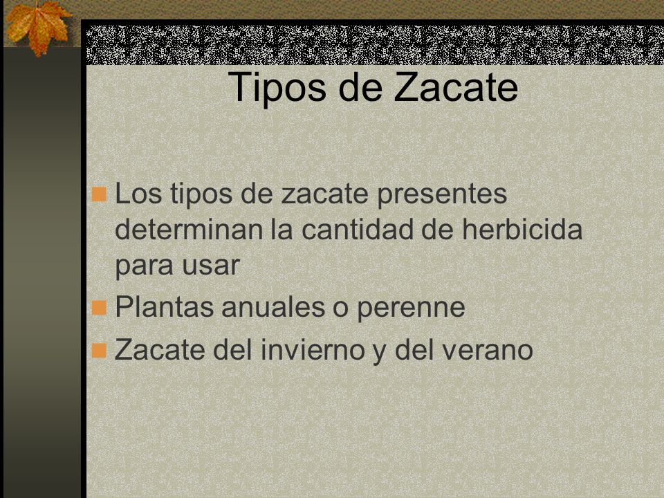 Tipos de Zacate Los tipos de zacate presentes determinan la cantidad de herbicida para usar. Plantas anuales o perenne.
