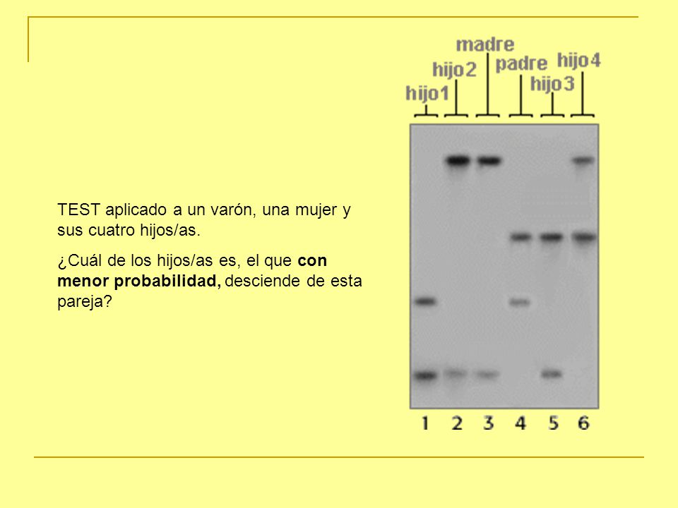 TEST aplicado a un varón, una mujer y sus cuatro hijos/as.