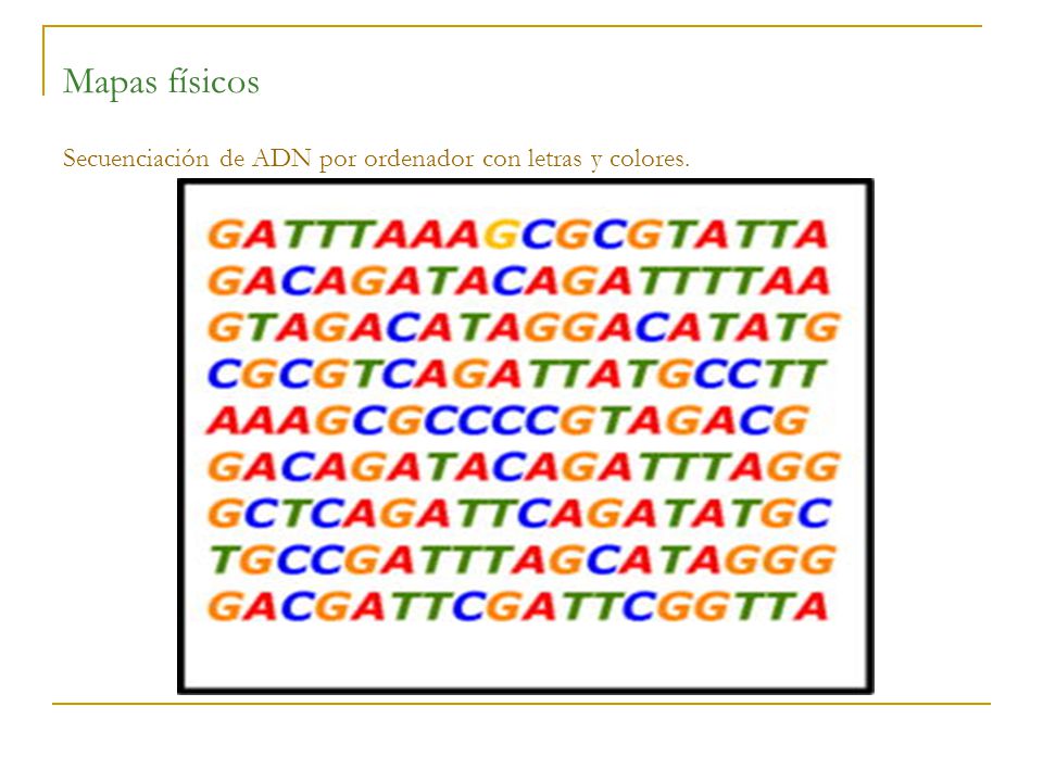 Mapas físicos Secuenciación de ADN por ordenador con letras y colores.