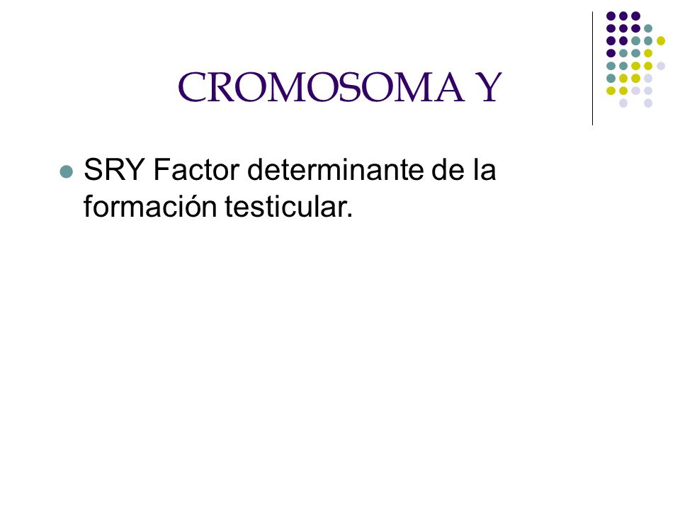 CROMOSOMA Y SRY Factor determinante de la formación testicular.