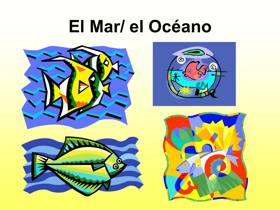 El Mar/ el Océano