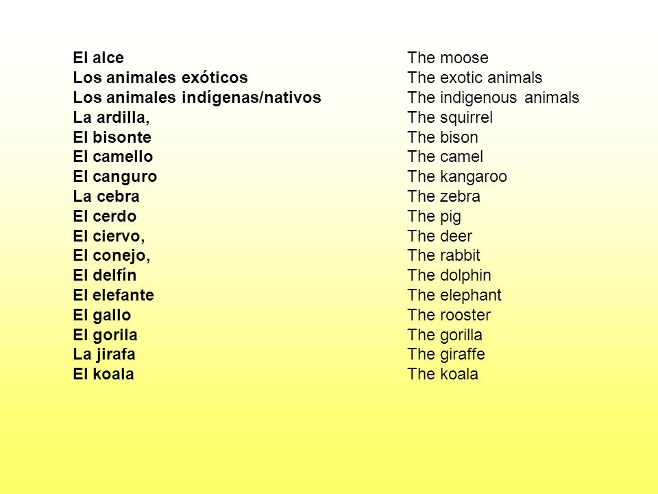 El alce Los animales exóticos. Los animales indígenas/nativos. La ardilla, El bisonte. El camello.