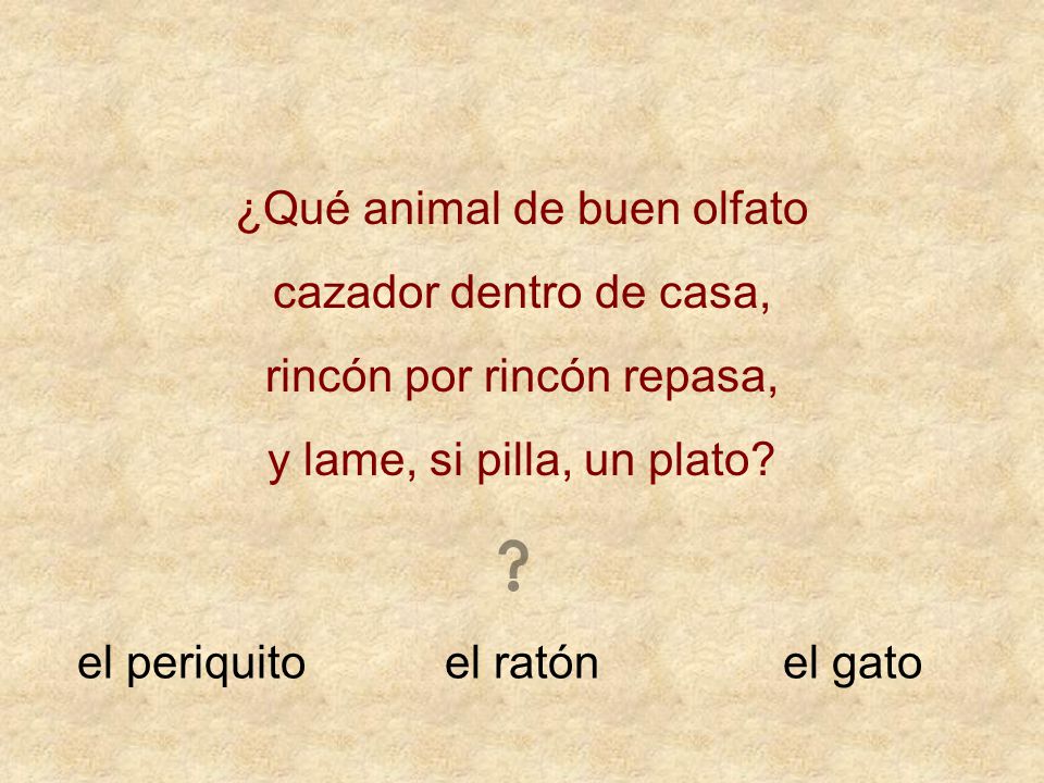 ¿Qué animal de buen olfato cazador dentro de casa,