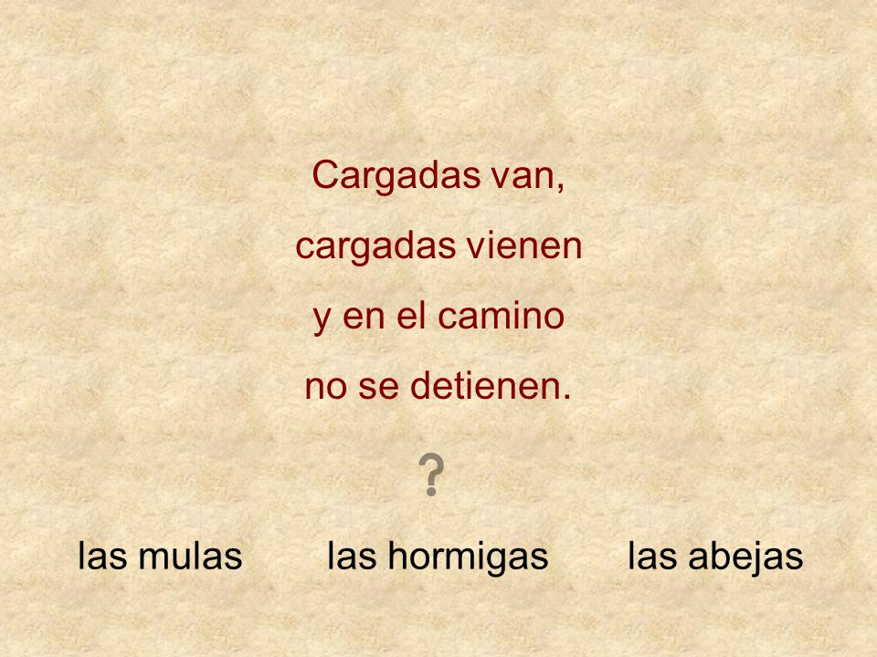 Cargadas van, cargadas vienen y en el camino no se detienen. las mulas las hormigas las abejas