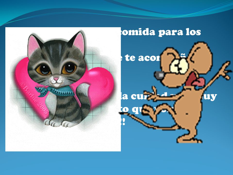 -Gato: Me voy a por comida para los dos.