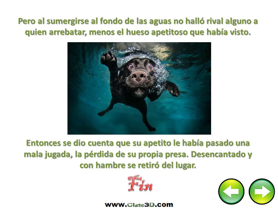 Pero al sumergirse al fondo de las aguas no halló rival alguno a quien arrebatar, menos el hueso apetitoso que había visto. Entonces se dio cuenta que su apetito le había pasado una mala jugada, la pérdida de su propia presa. Desencantado y con hambre se retiró del lugar.