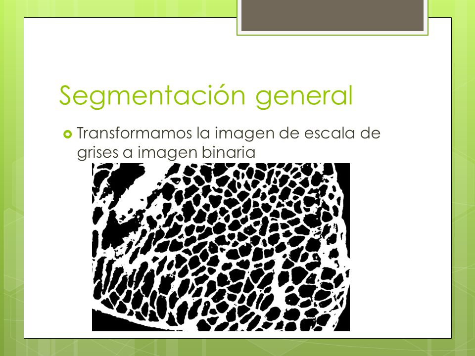 Segmentación general Transformamos la imagen de escala de grises a imagen binaria