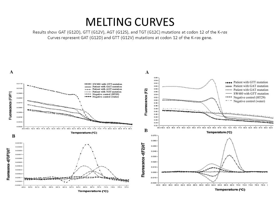 MELTING CURVES Results show GAT (G12D), GTT (G12V), AGT (G12S), and TGT (G12C) mutations at codon 12 of the K-ras Curves represent GAT (G12D) and GTT (G12V) mutations at codon 12 of the K-ras gene.