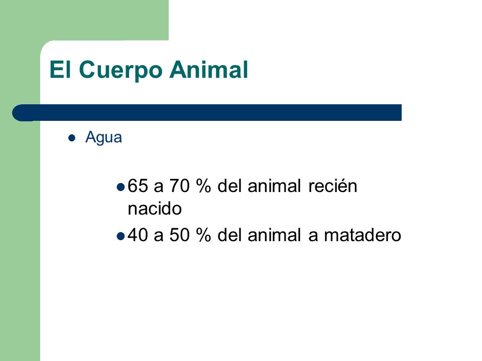 El Cuerpo Animal 65 a 70 % del animal recién nacido