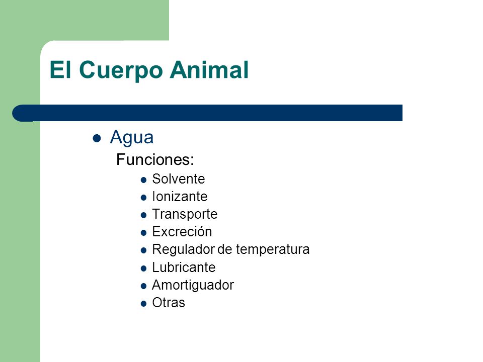 El Cuerpo Animal Agua Funciones: Solvente Ionizante Transporte