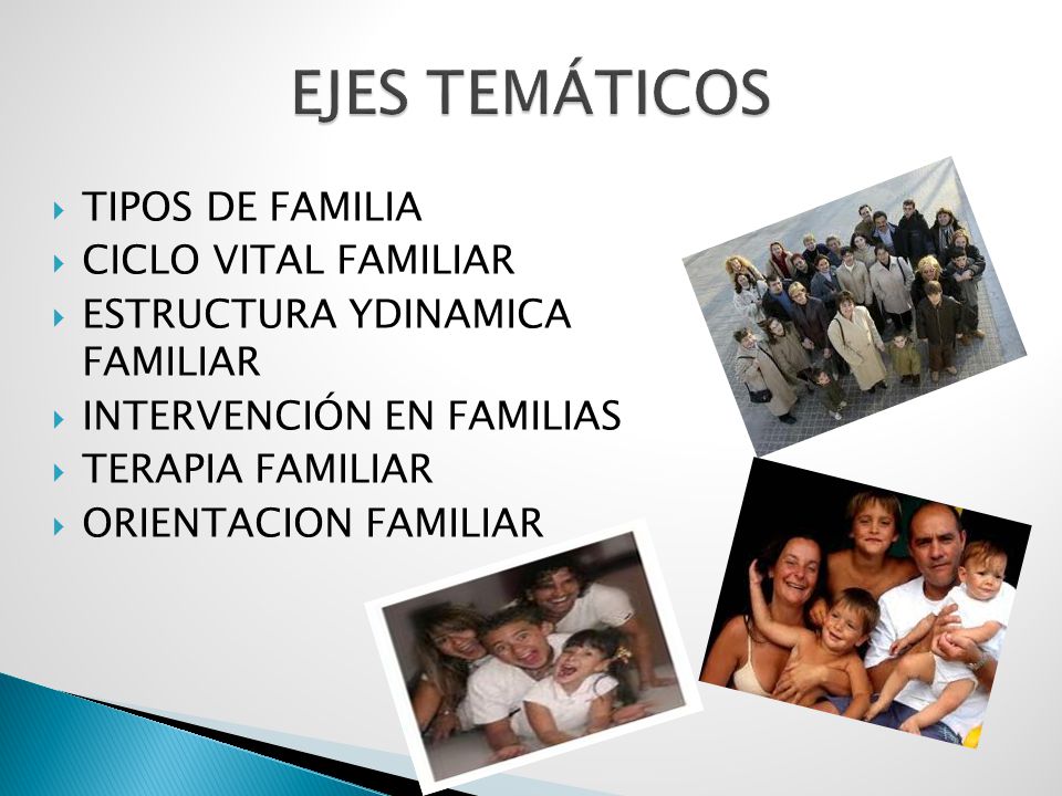 EJES TEMÁTICOS TIPOS DE FAMILIA CICLO VITAL FAMILIAR