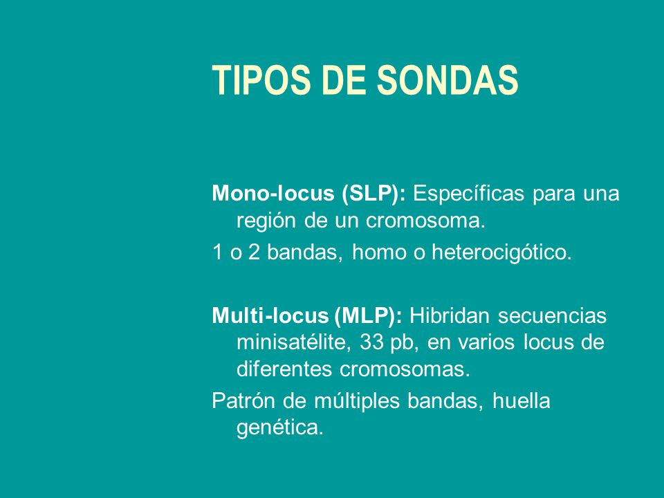 TIPOS DE SONDAS Mono-locus (SLP): Específicas para una región de un cromosoma. 1 o 2 bandas, homo o heterocigótico.