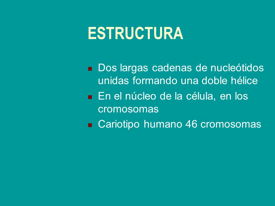 ESTRUCTURA Dos largas cadenas de nucleótidos unidas formando una doble hélice. En el núcleo de la célula, en los cromosomas.