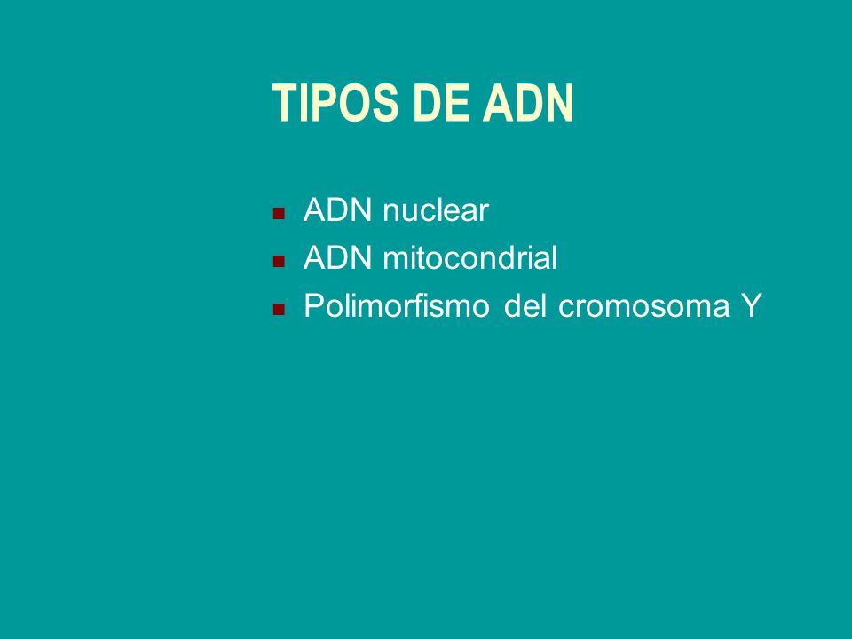 TIPOS DE ADN ADN nuclear ADN mitocondrial Polimorfismo del cromosoma Y