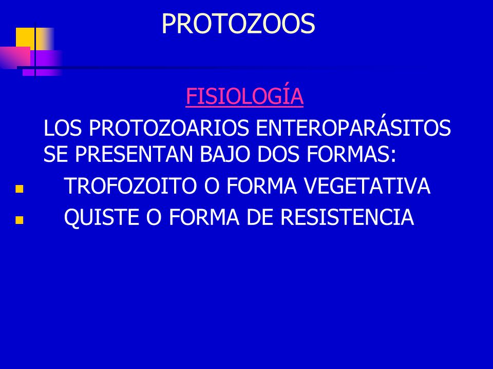 PROTOZOOS FISIOLOGÍA. LOS PROTOZOARIOS ENTEROPARÁSITOS SE PRESENTAN BAJO DOS FORMAS: TROFOZOITO O FORMA VEGETATIVA.